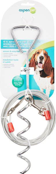 aspen stake|Aspen Pet Spiral Stake with 20.